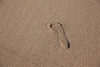 Switch《长号冠军》更新追加两首新歌及直播模式